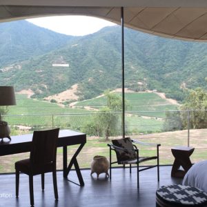 Add additional value to your home with large glass windows and doors